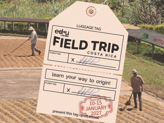 Be taught Your Manner To Origin With Cafe Imports Area Journey Costa Rica