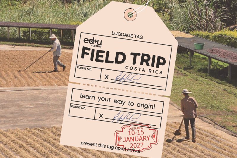 Be taught Your Manner To Origin With Cafe Imports Area Journey Costa Rica