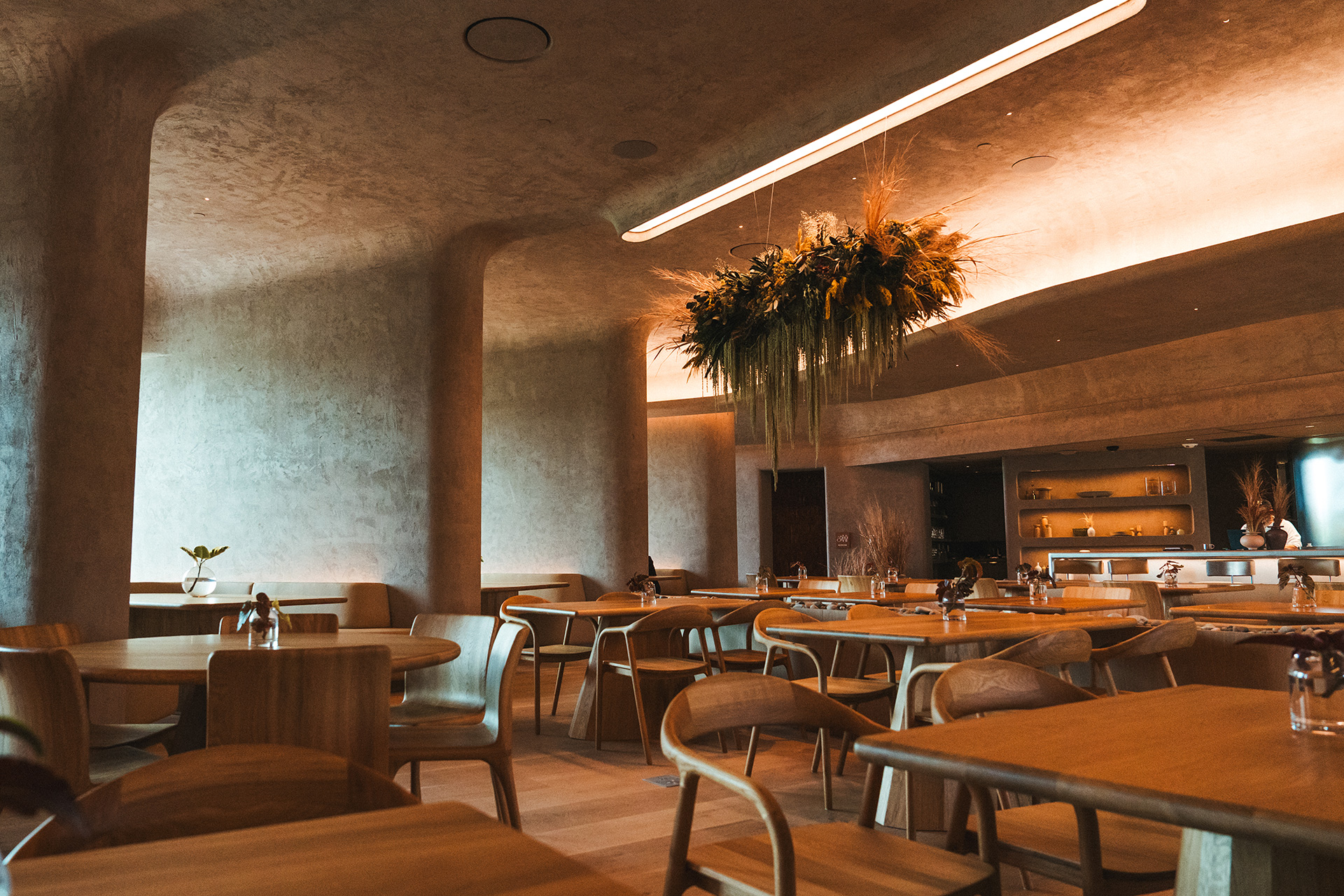 Construct-Outs Of Espresso: Onyx At The Protect In Bentonville, AR