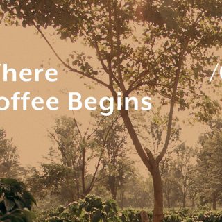 Accademia Del Caffe Espresso Is Dropping Espresso Information, A New Instructional Collection