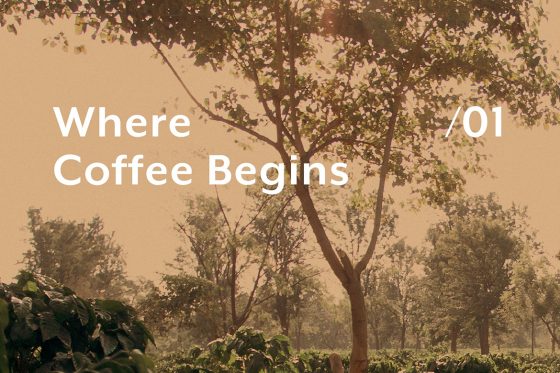 Accademia Del Caffe Espresso Is Dropping Espresso Information, A New Instructional Collection