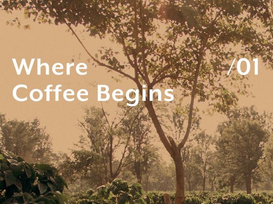 Accademia Del Caffe Espresso Is Dropping Espresso Information, A New Instructional Collection