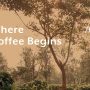 Accademia Del Caffe Espresso Is Dropping Espresso Information, A New Instructional Collection